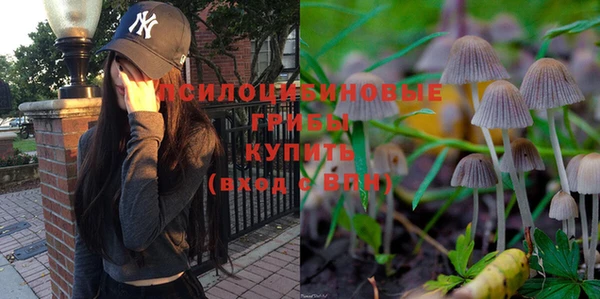 a pvp Беломорск