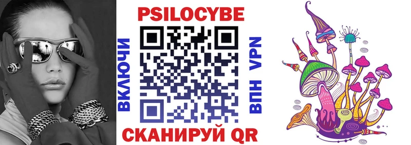 Псилоцибиновые грибы мицелий  Купить  Новотроицк 